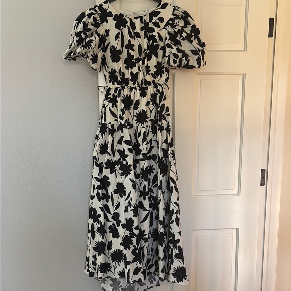 Moon River Floral Black and White Dress